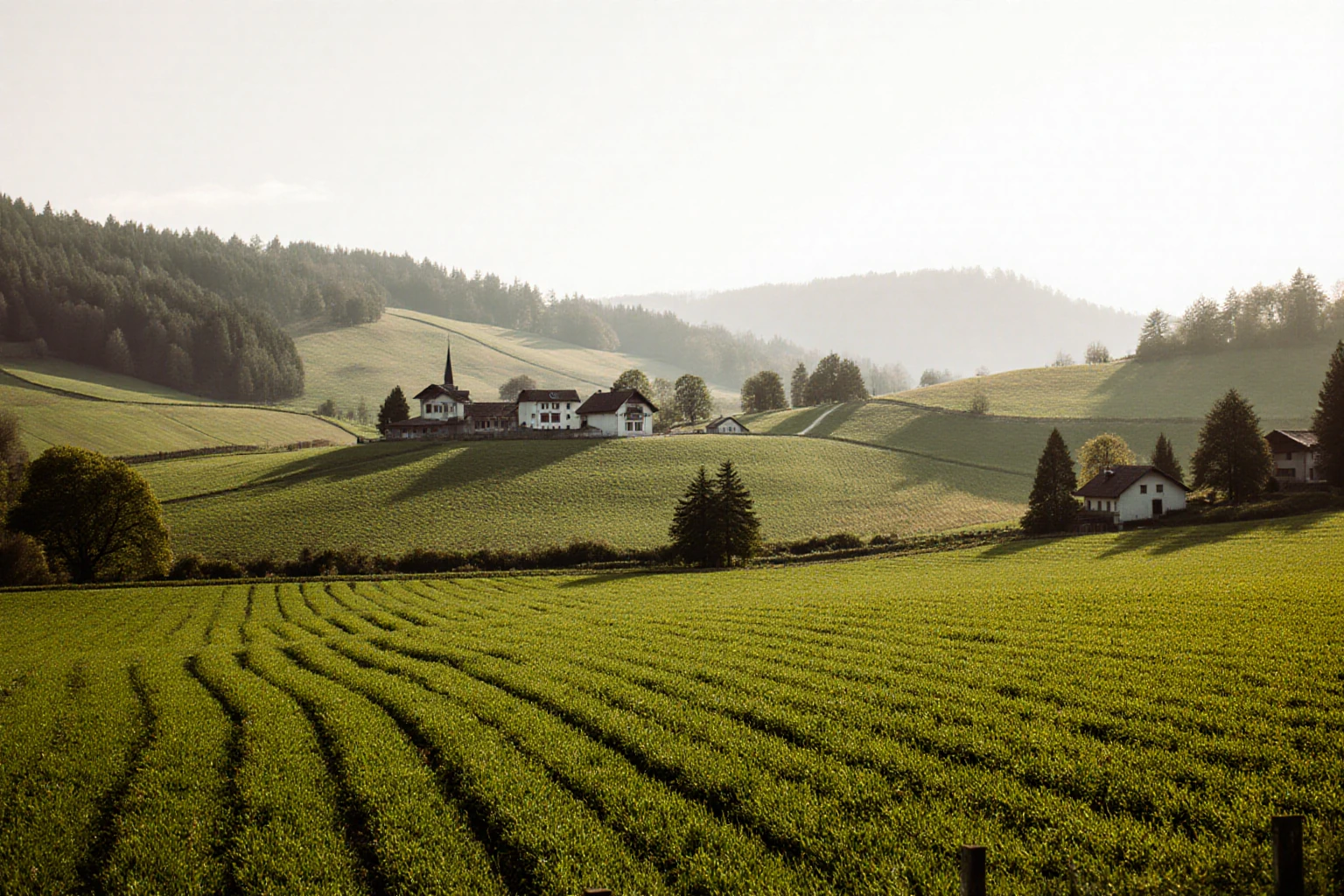 Landwirtschaftlich genutzte Flächen in der Schweiz